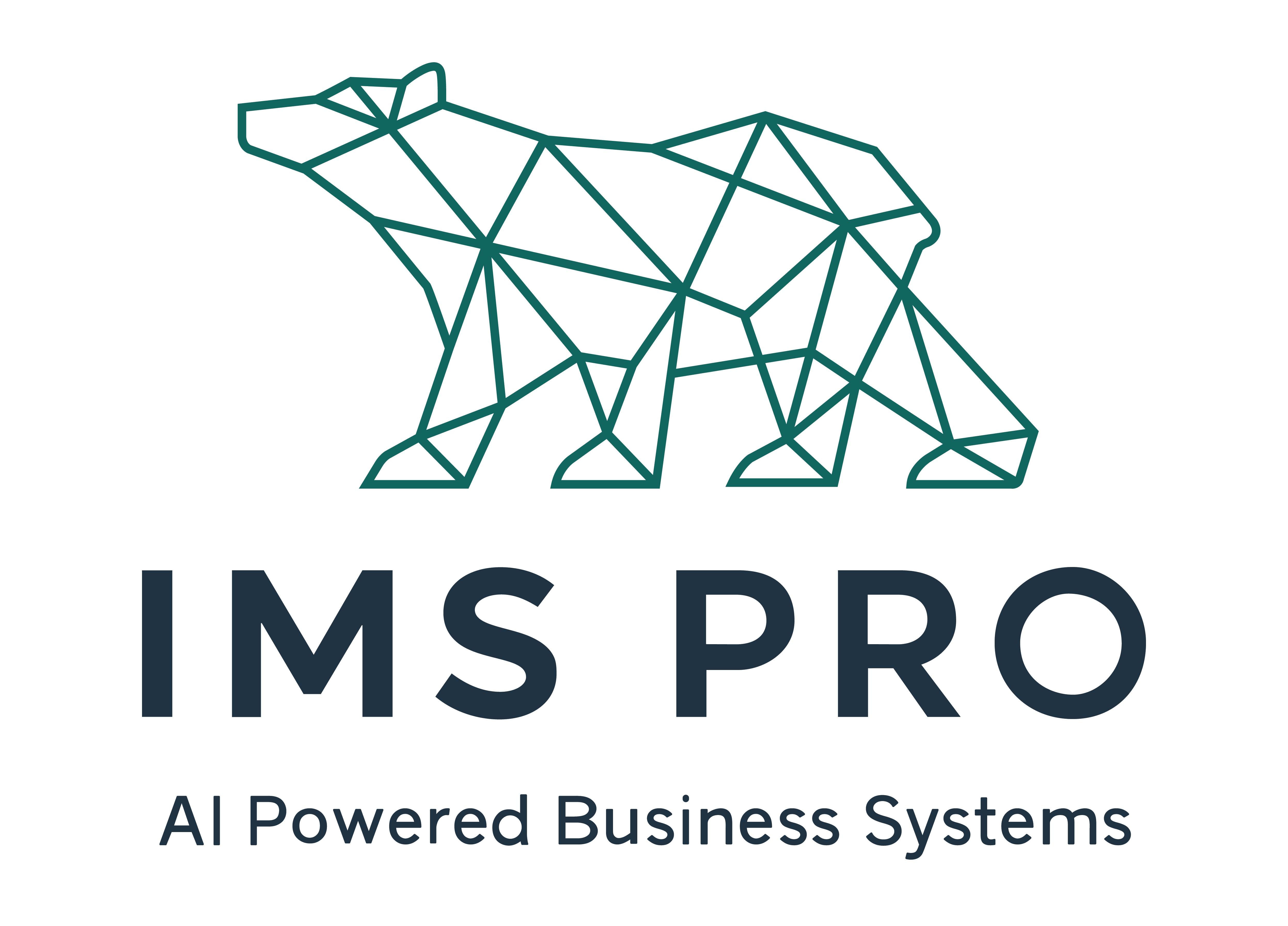 IMS-PRO: AI for Business